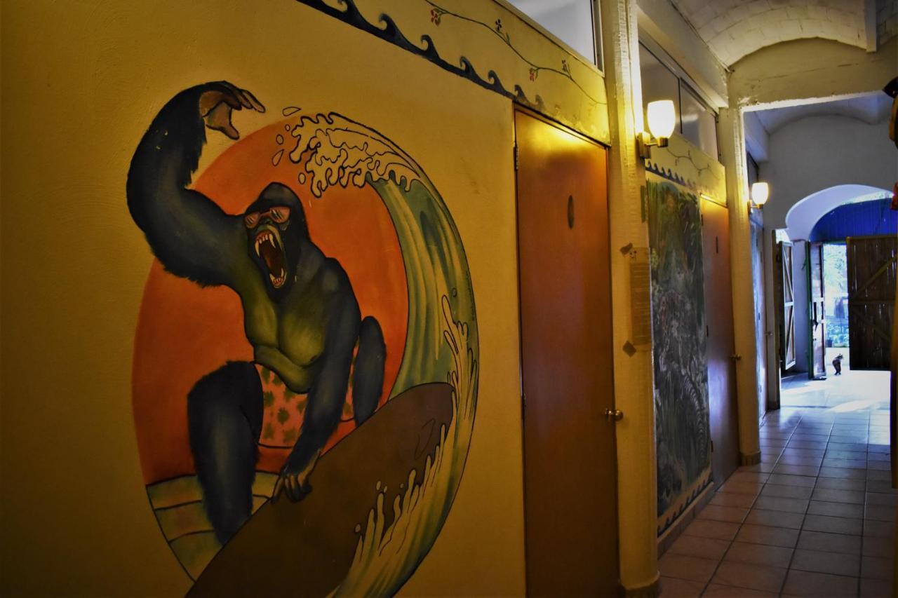 Hotel La Selva San Francisco  Zewnętrze zdjęcie
